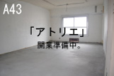 A43 CREATIVE OFFICE とらこや