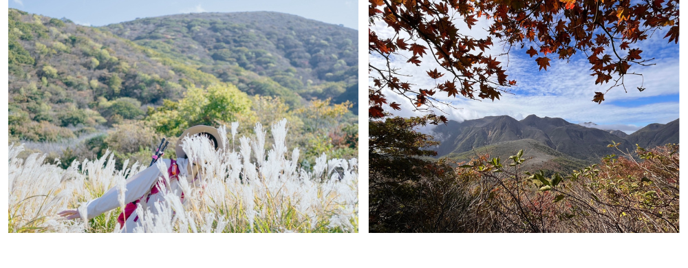 吉原住宅60周年特製クッキーの写真