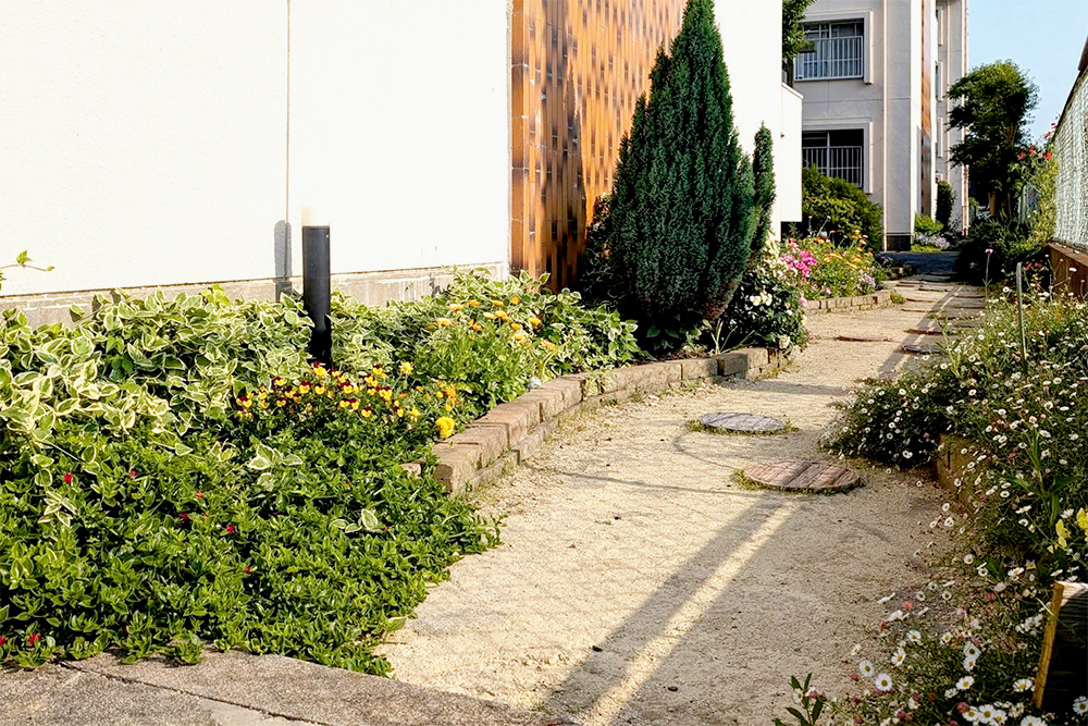 コーポ江戸屋敷の外空間