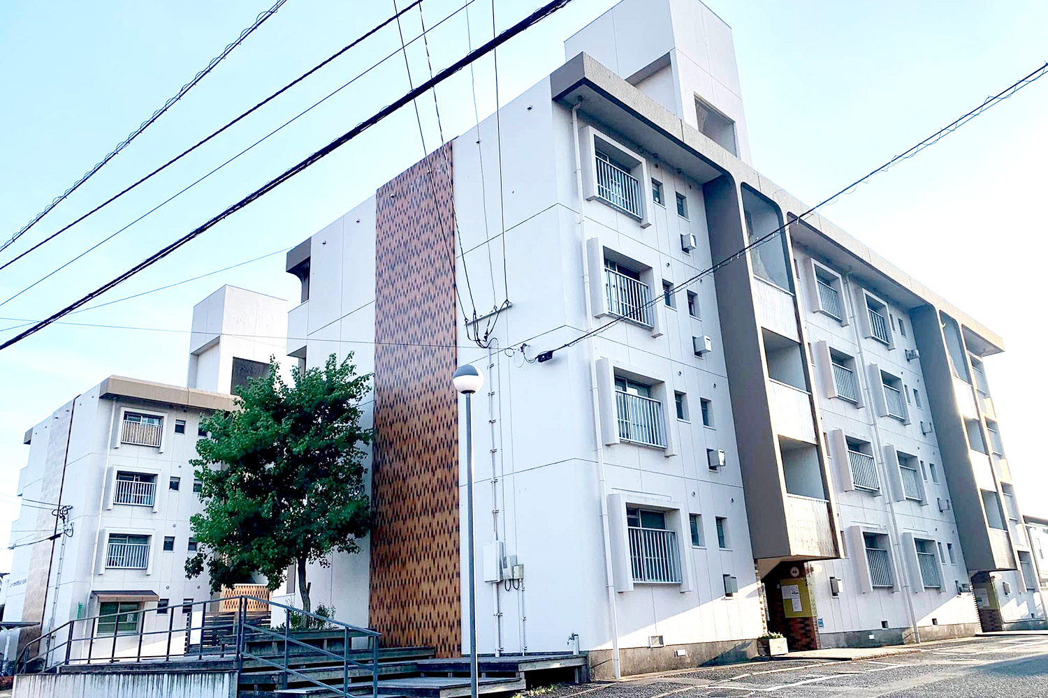 コーポ江戸屋敷全体