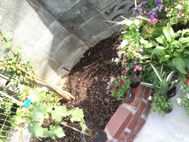 日程変更 ゴコ花壇作りプロジェクト 秋の花植え祭り スペースｒデザイン