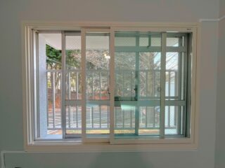 250716_camelia303_02