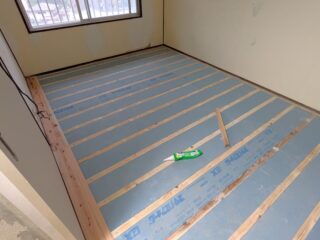 250716_camelia303_04