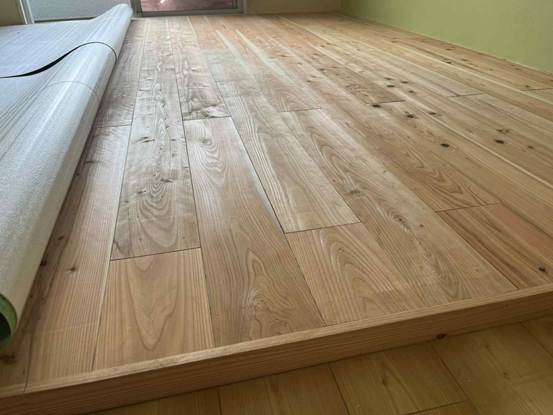 250630_camelia303_02