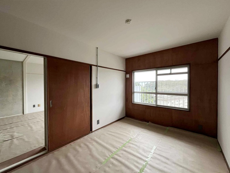 251115_camelia503_02